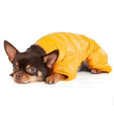 PUPPIA Комбинезон для собак, сверхлегкий "Jumpesuit А", оранжевый, L (Южная Корея)