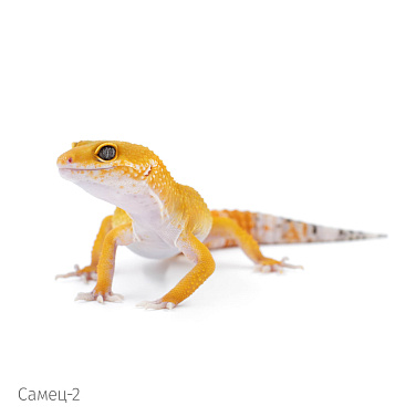 фото 6