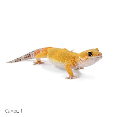 фото 3