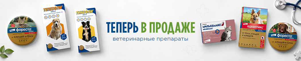 Новогодний ассортимент